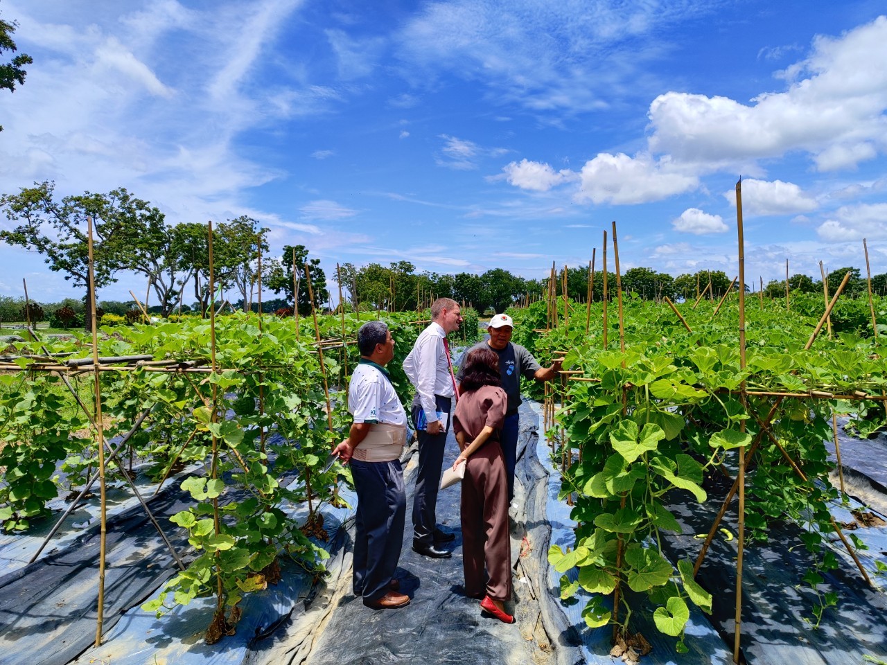 LINE ALBUM เยอรมน 25082023 ๒๓๐๘๒๕ 17